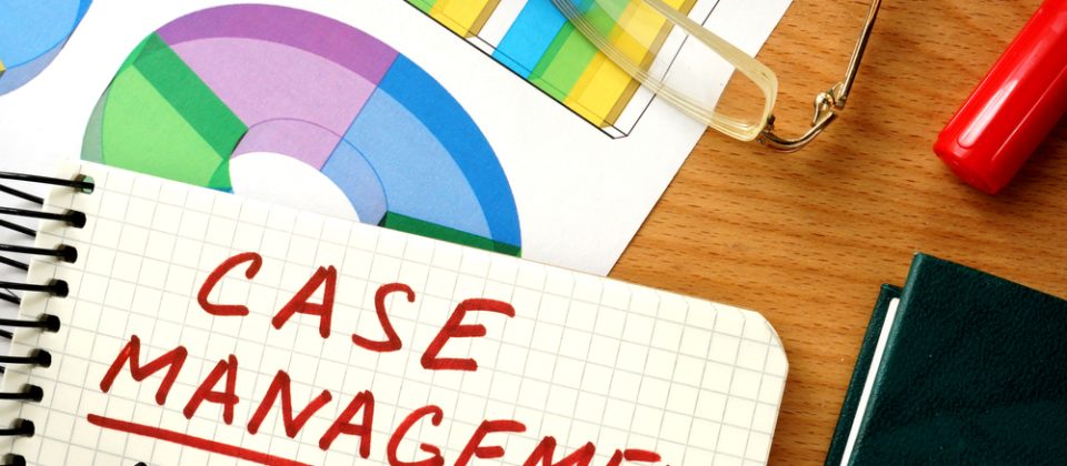 Case management system