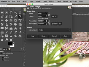 Gimp photo editor