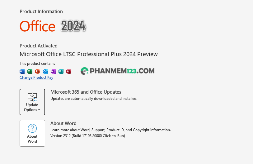 Microsoft office professional plus 2024