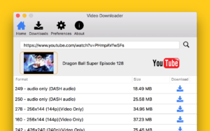 Youtube video downloader